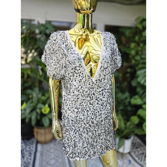 Jen's Pirate Booty Dress Womens P/S Gray Silver Metallic - Picture 1 of 9